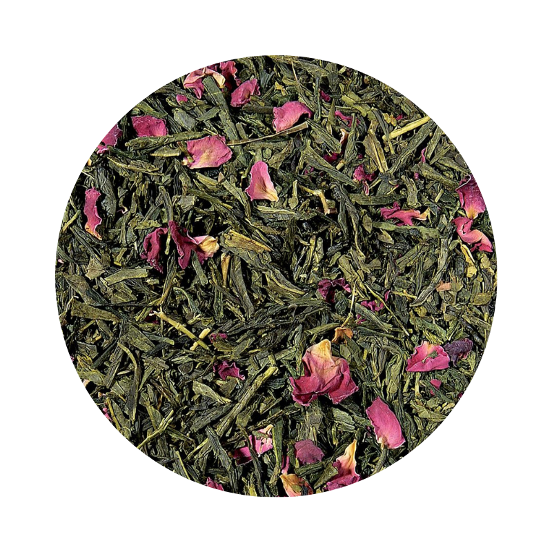 Cold Brew Sencha Sakura